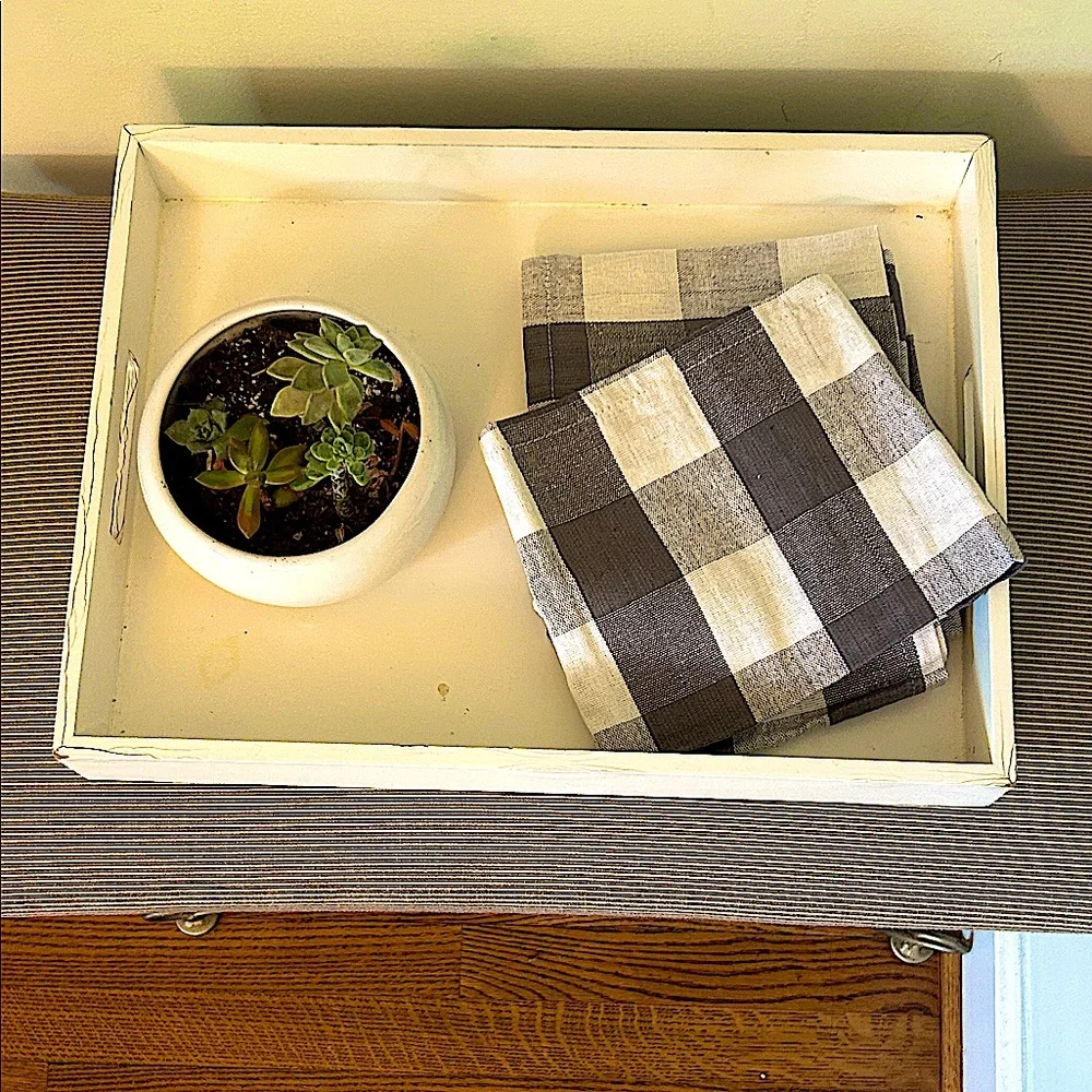 Checkered Cloth Napkins Set of 2 NEW Gray + White Check All Season 20 x 20